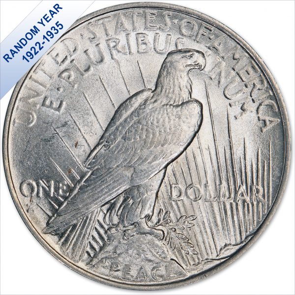 1922-1935 Peace Silver Dollars AU (Random Year) – Harris Gift Holder - Image 4