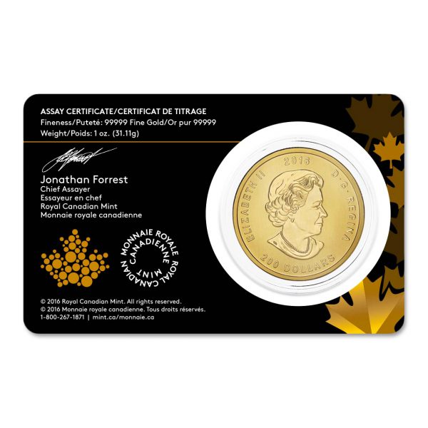 2016 Canada 1 oz Gold Roaring Grizzly Bear .99999 Pure Uncirculated - Image 2
