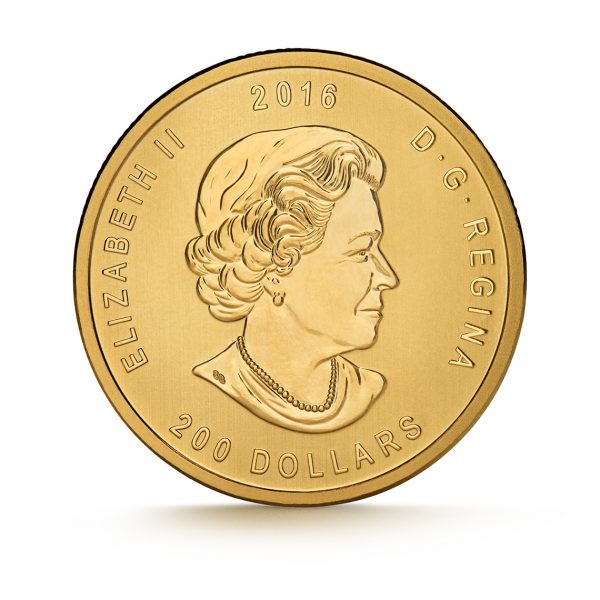 2016 Canada 1 oz Gold Roaring Grizzly Bear .99999 Pure Uncirculated - Image 5